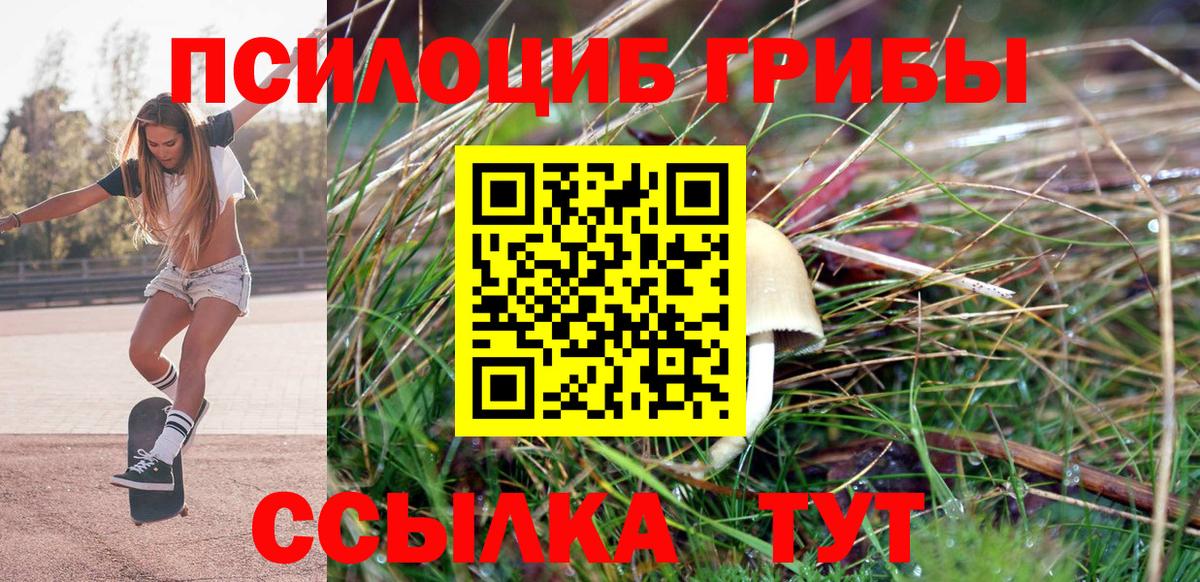 Псилоцибиновые грибы GOLDEN TEACHER Киров